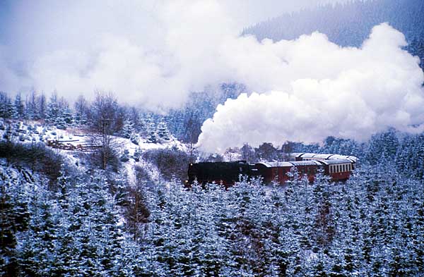 Dampfzug zwischen Wernigerode und Drei Annen