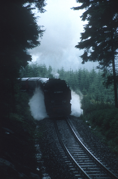 99 7237 zw. 3 Annen und Schierke